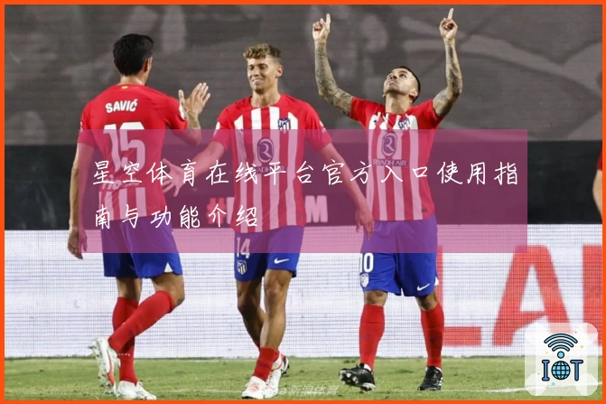 星空体育在线平台官方入口使用指南与功能介绍
