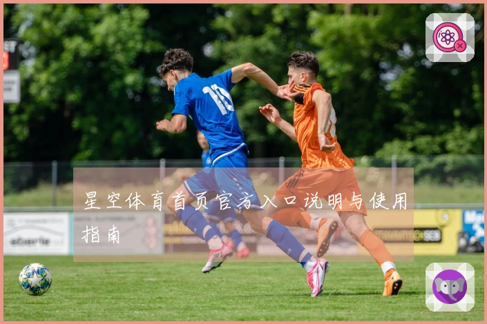 星空体育首页官方入口说明与使用指南